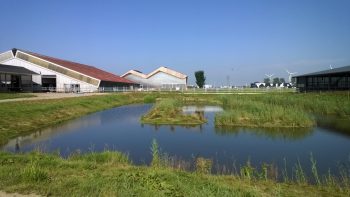 Ledenbijeenkomst bij Wetsus en Dairy Campus