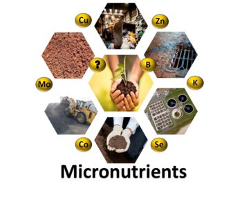 Possibilities And Opportunities For Recovery Of Nutrients Other Than Phosphorus